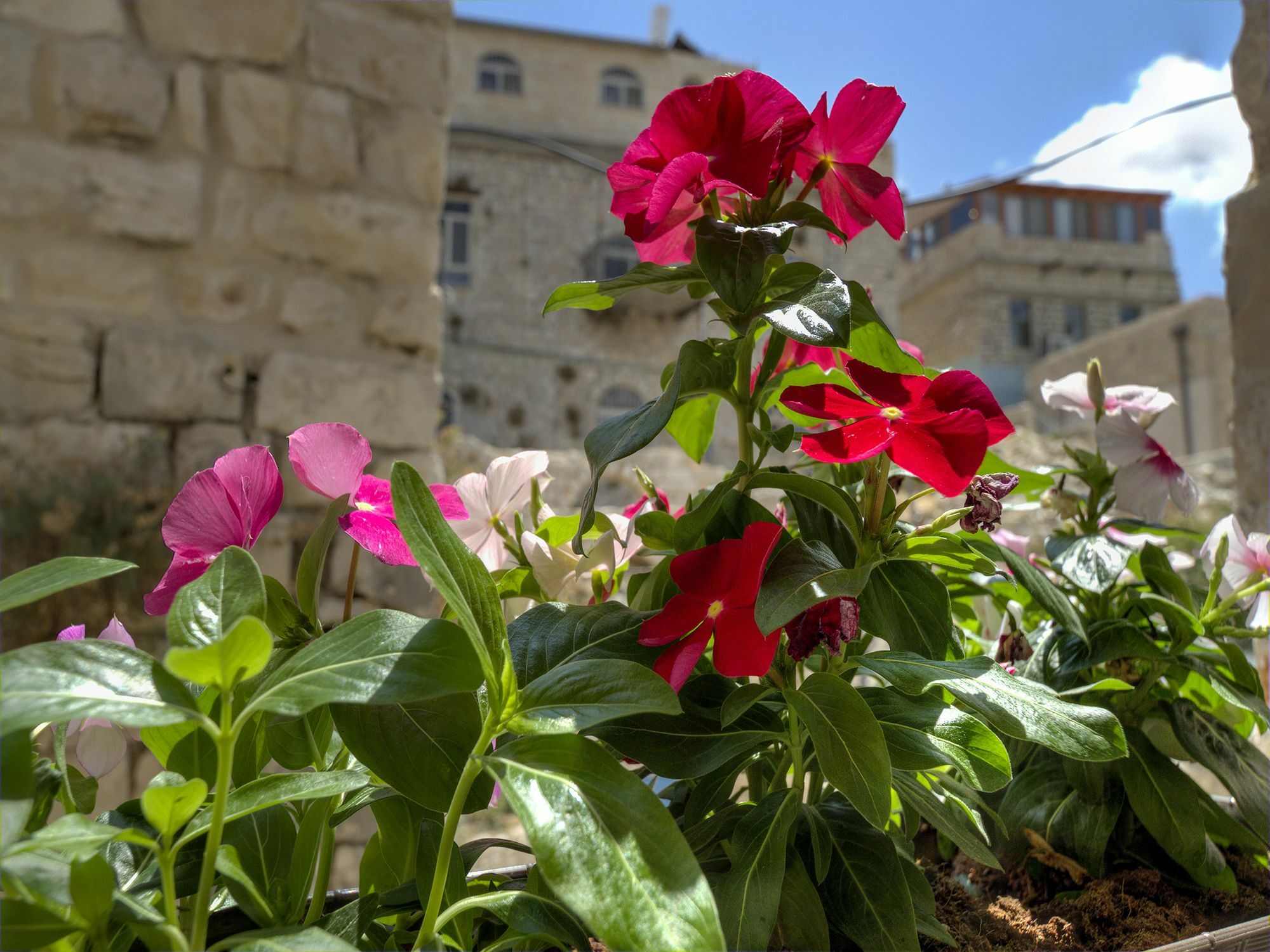 Nofesh Baatika Villa Safed Bagian luar foto